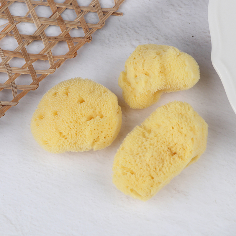 Alat Pembersih Produksi Tekstu - Eco Sponge ulasan dan harga