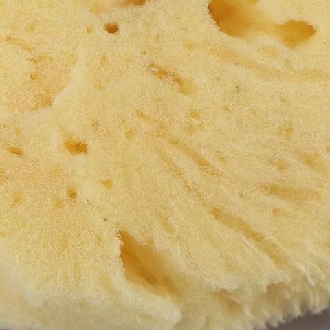 Alat Pembersih Produksi Tekstu - Eco Sponge ulasan dan harga