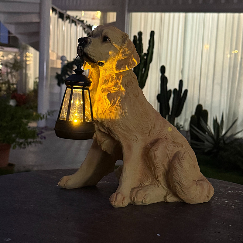 Lampu lantai bercahaya untuk h - Solar Garden Light ulasan dan harga