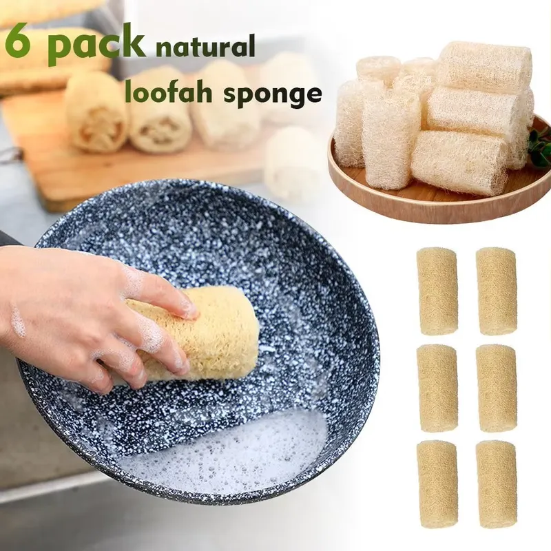 Sikat Cuci Piring Spons Luffa  - Eco Sponge ulasan dan harga